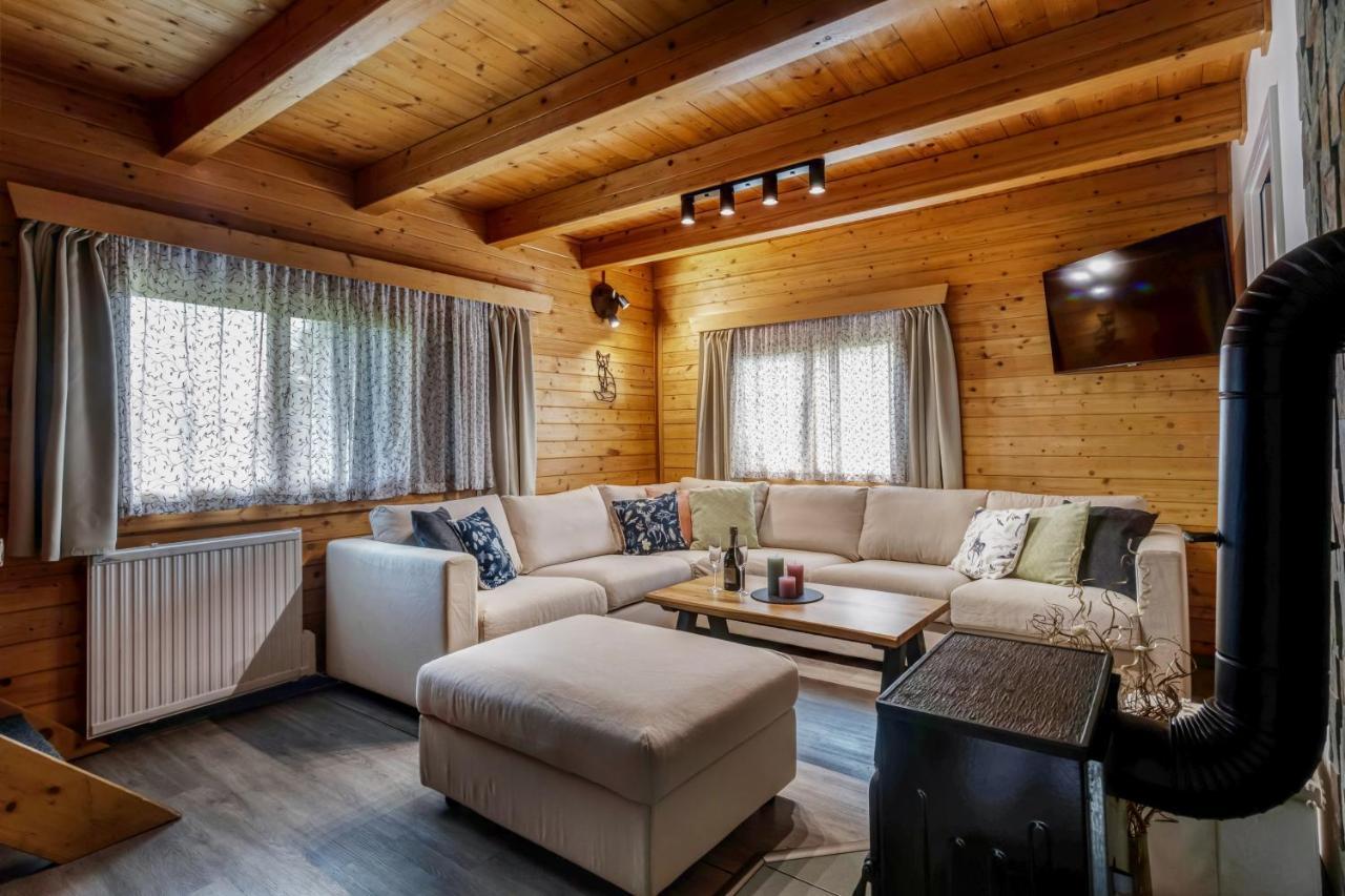 Private Summer House With Swimming Pool, Beach Bar And Pit For Football And Volleyball Hvezdonice Exterior foto