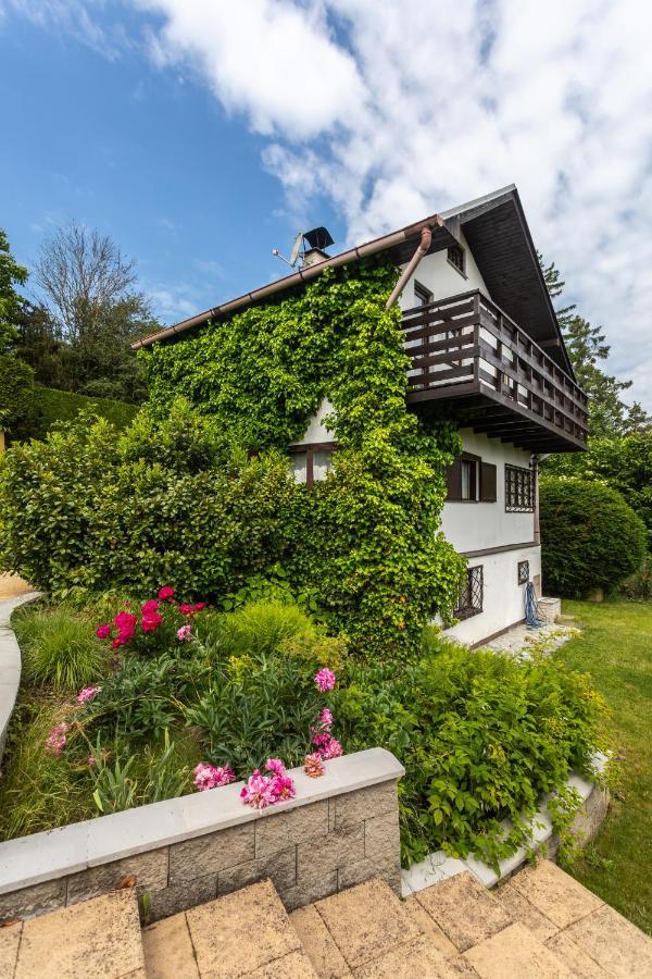 Private Summer House With Swimming Pool, Beach Bar And Pit For Football And Volleyball Hvezdonice Exterior foto